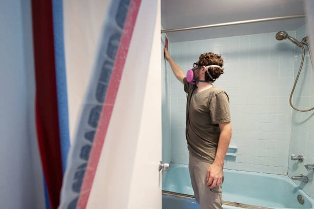 Best Basement Mold Removal  in Tucson, AZ