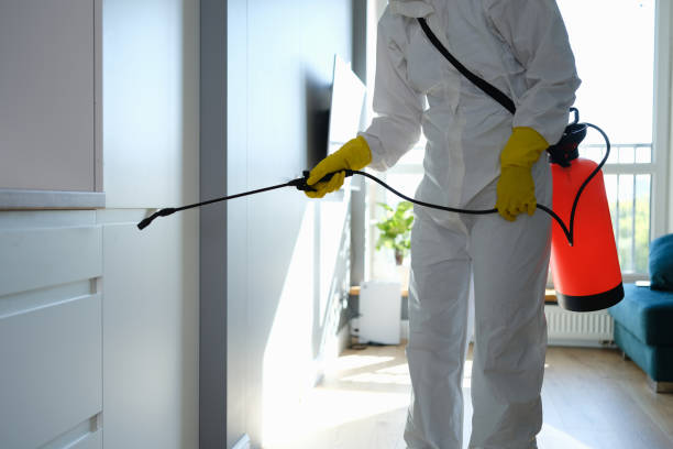 Mold Removal for HVAC Installations in Tucson, AZ
