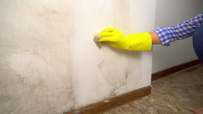 Best Biohazard Mold Removal  in Tucson, AZ