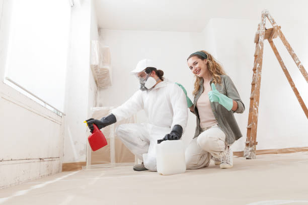 Best Mold Removal for HVAC Installations  in Tucson, AZ